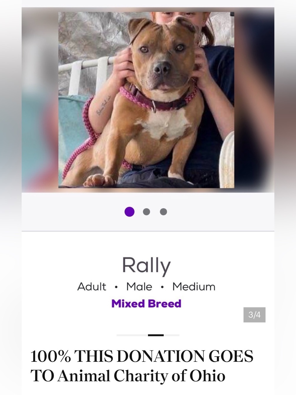Support Rally and his rescue ♥️🐾